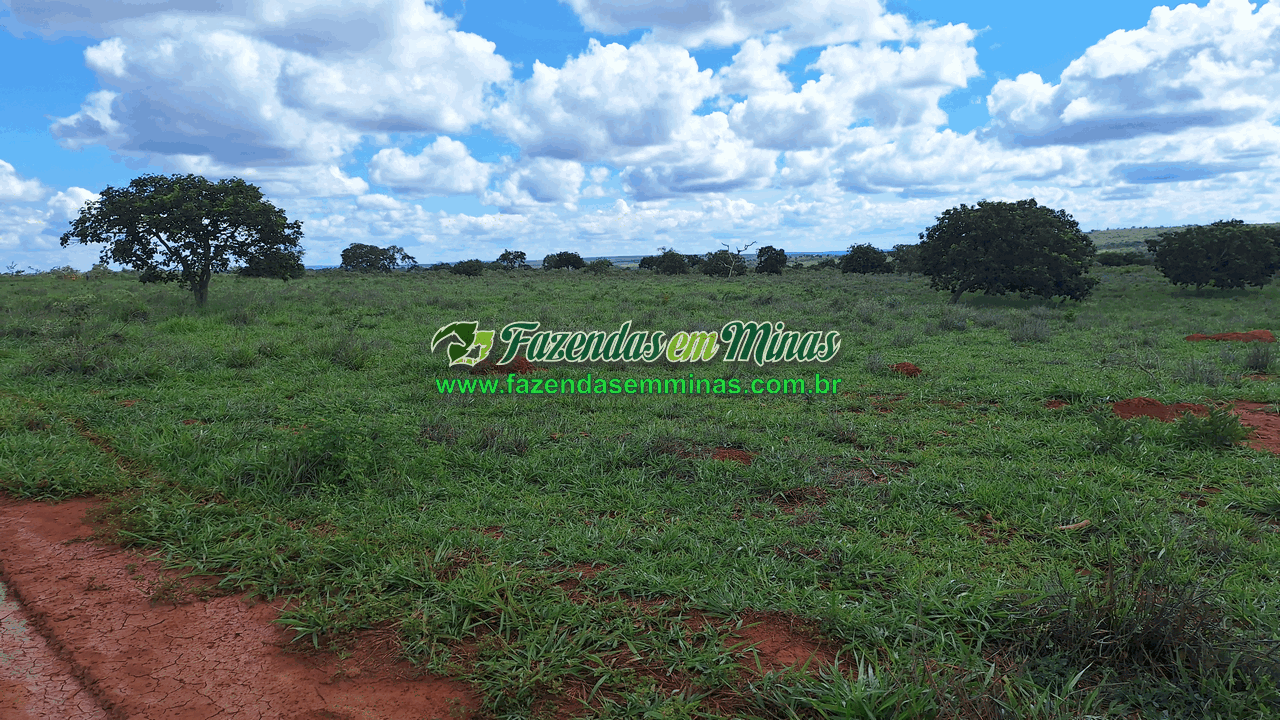 Cód.338         R$ 4.500.000,00