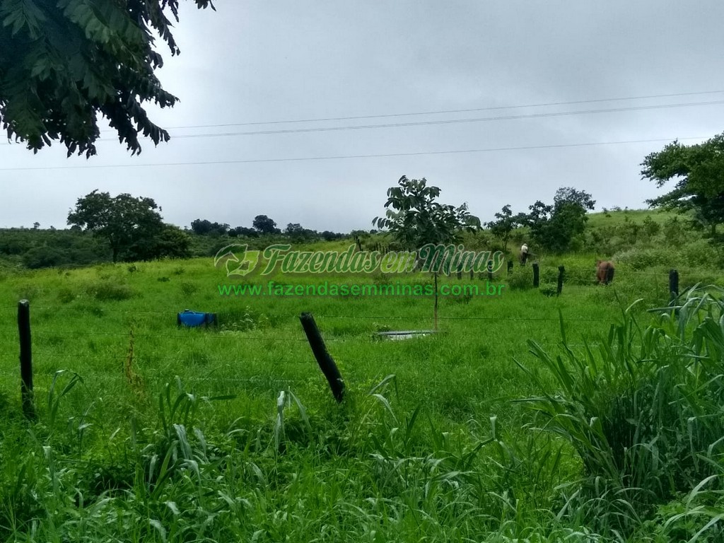 Cód.486              R$ 10.000.000,00