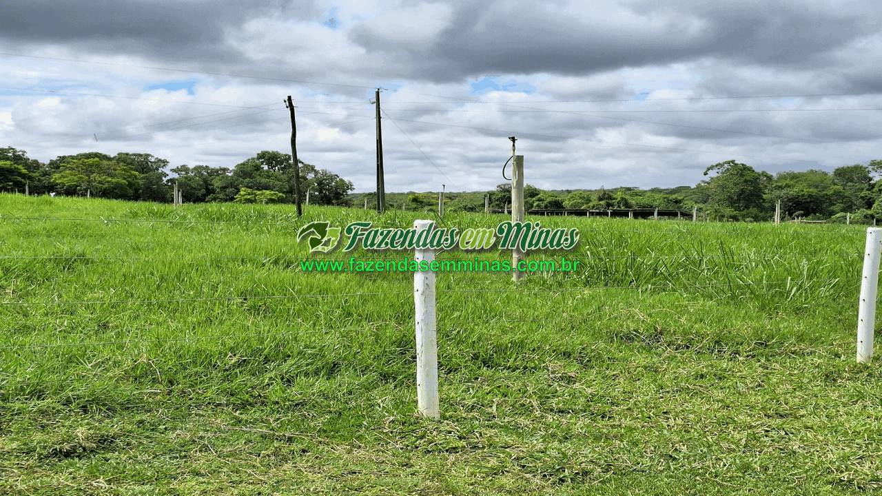 Cód.518       R$ 8.500.000,00