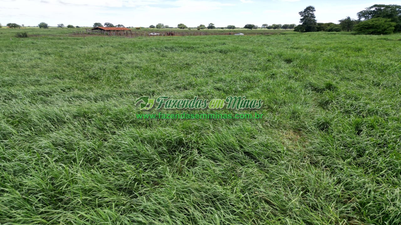 Cód.569      R$ 4.600.000,00