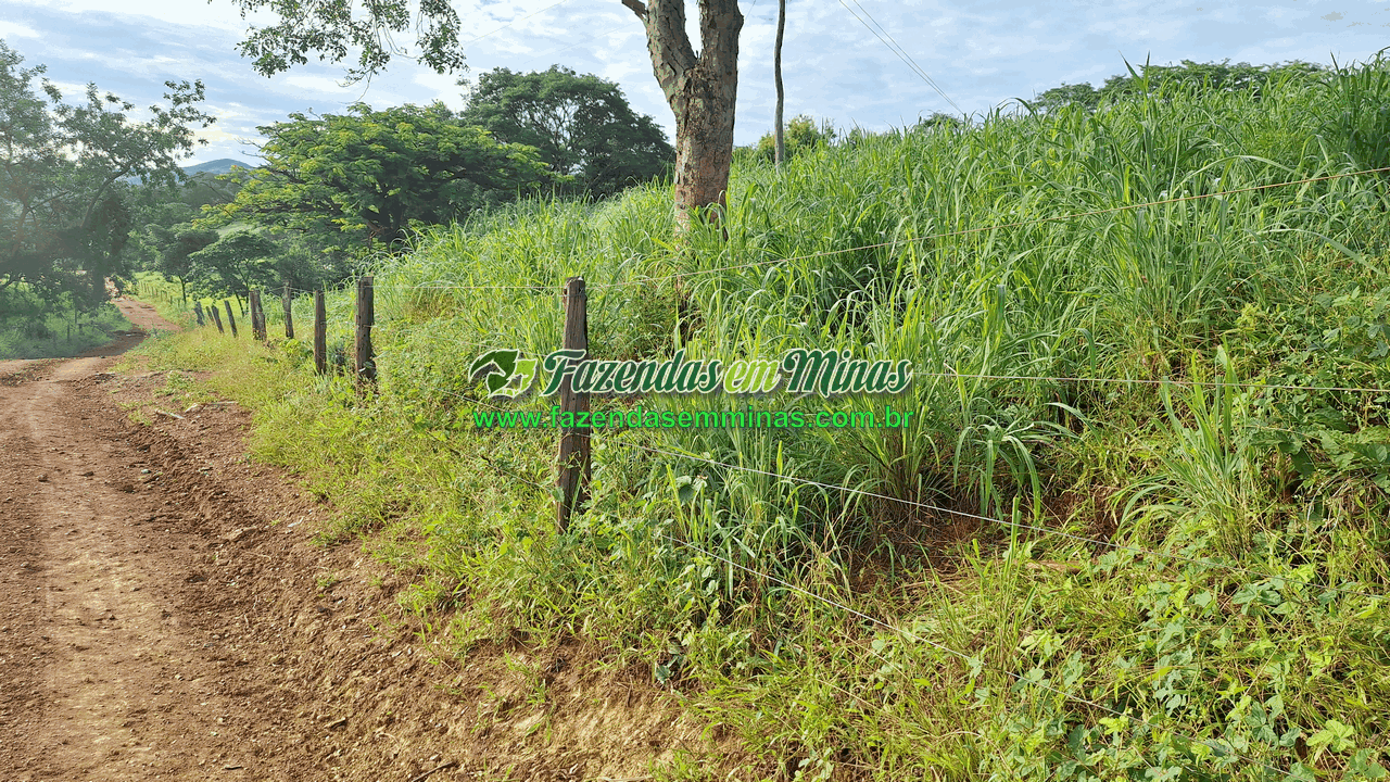 Cód.599       R$ 3.500.000,00