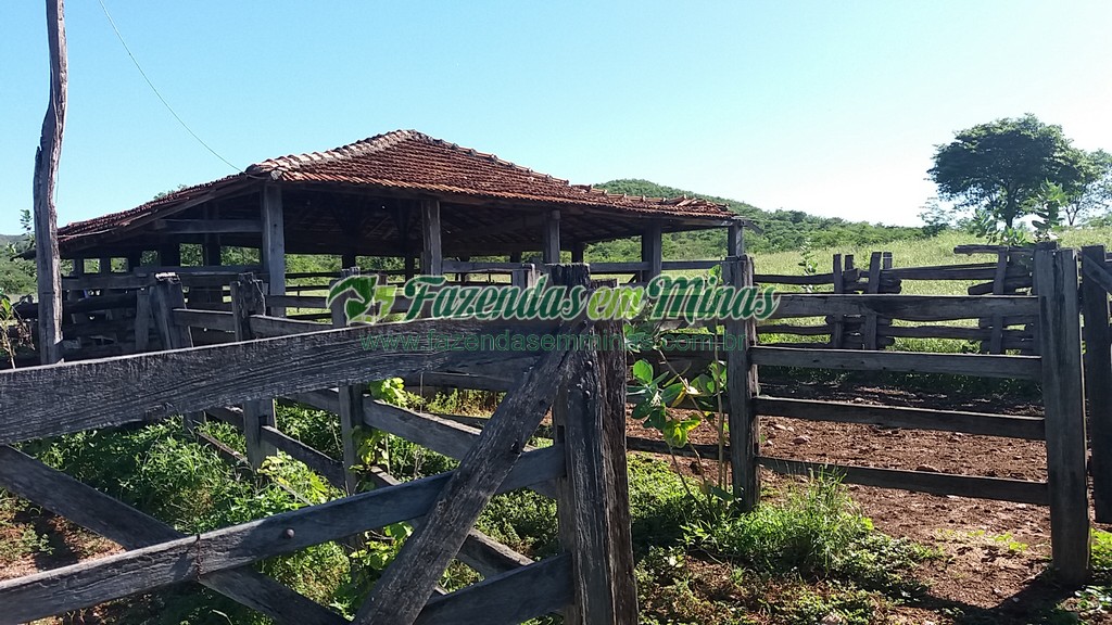 Fazenda 20 km do asfalto 