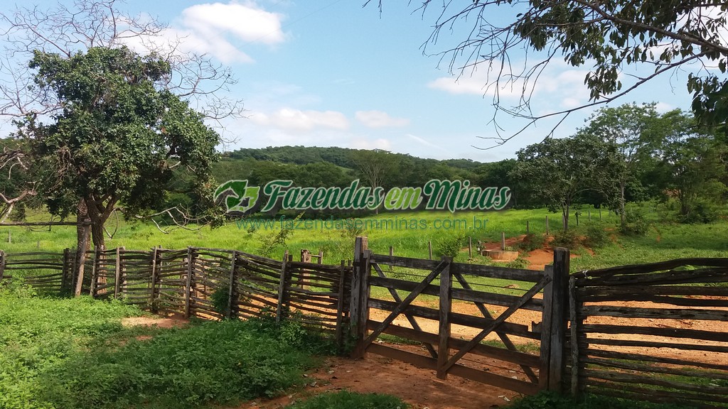 Fazenda  Cód.444  162 Ha  R$ 1.350.000