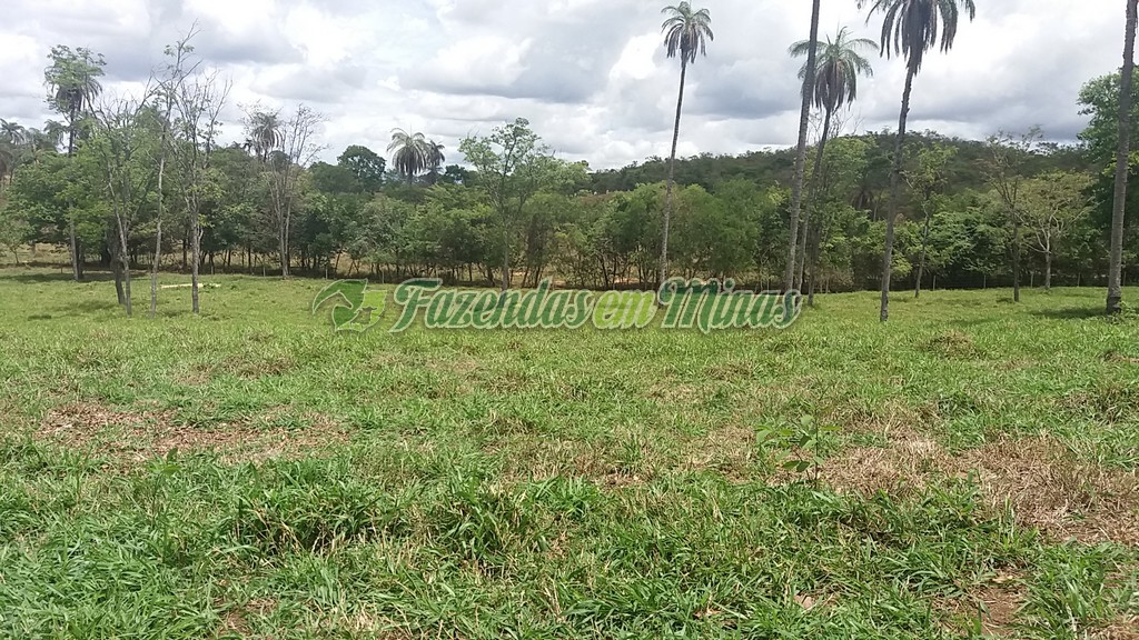 Fazenda município coração de Jesus para pecuária de leite e corte.