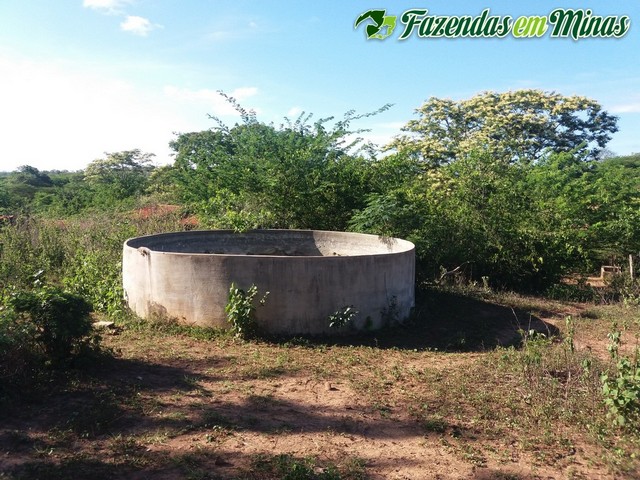 Cód.351 - Município Francisco Sá