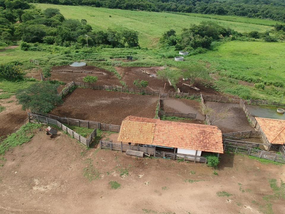 Cód. 524               R$ 25.000.000,00
