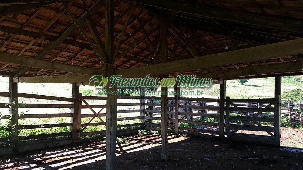 Fazenda 20 km do asfalto 