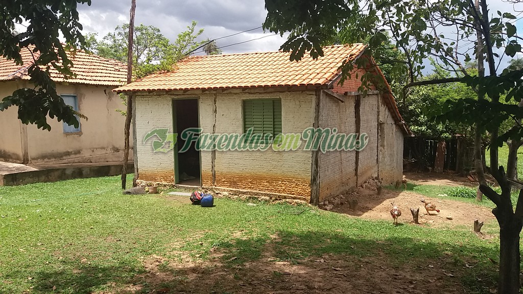 Fazenda município coração de Jesus para pecuária de leite e corte.