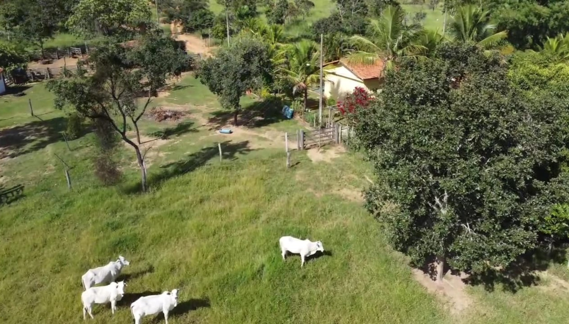 Cód. 497             R$ 1.000.000,00