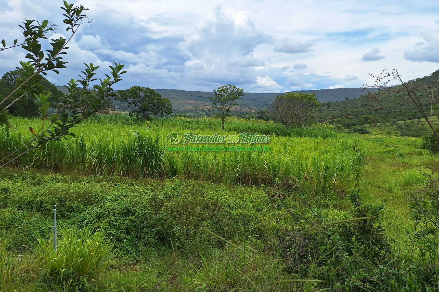 Cód. 560            R$ 1.100.000,00