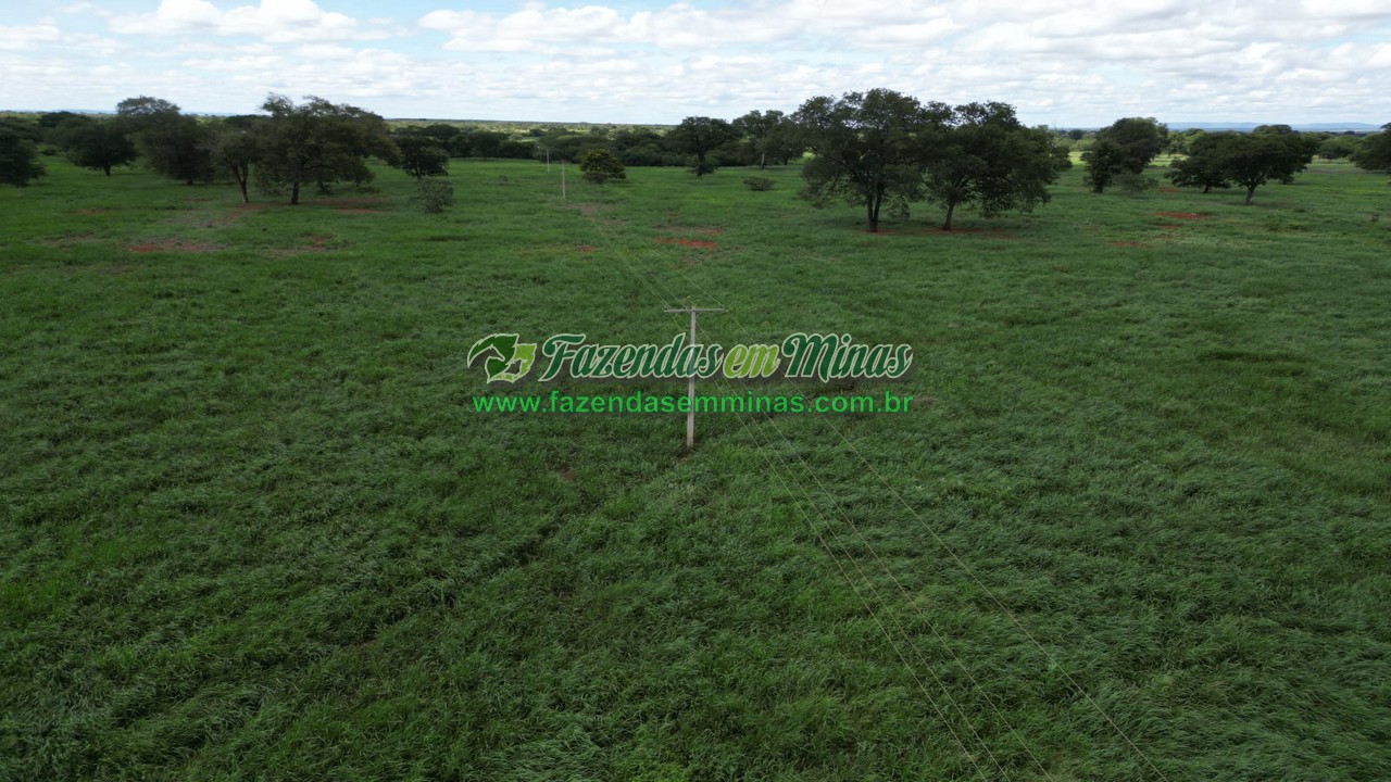 Cód.569      R$ 4.600.000,00