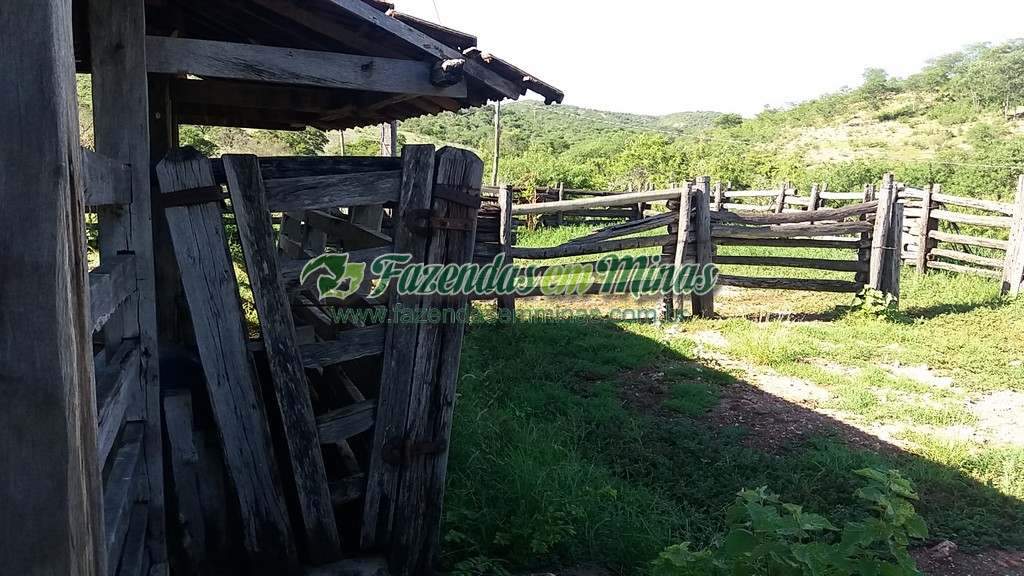 Fazenda 20 km do asfalto 