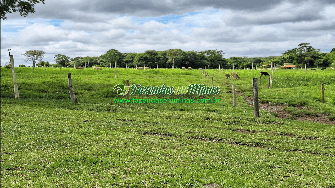 Cód.518       R$ 8.500.000,00
