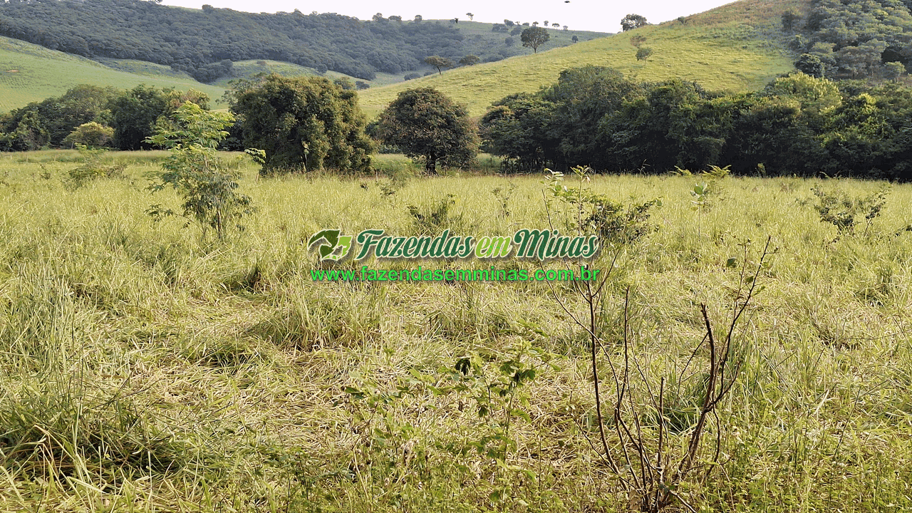 Cód.599       R$ 3.500.000,00