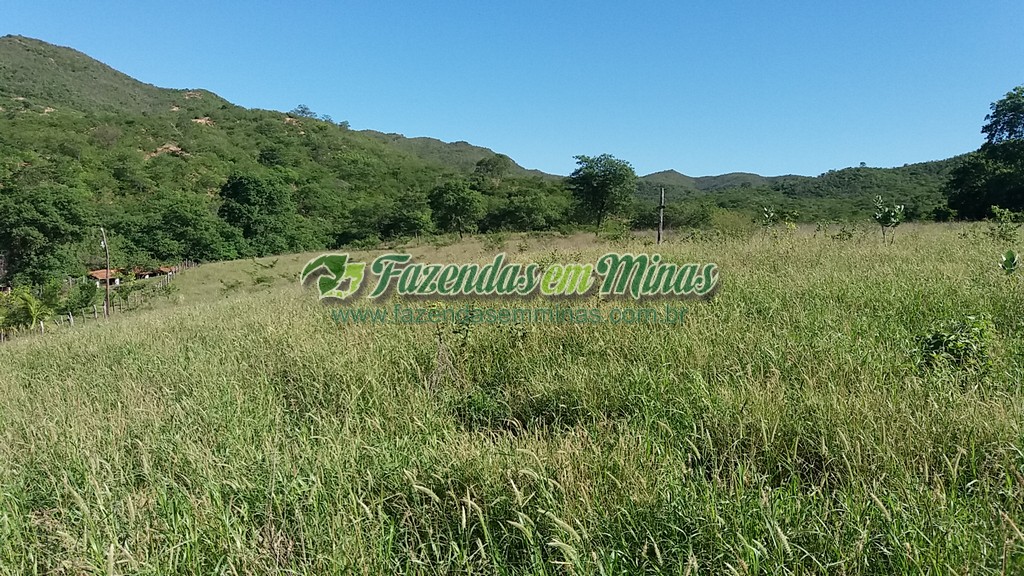 Fazenda 20 km do asfalto 