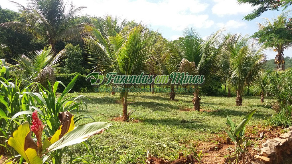 Fazenda  Cód.444  162 Ha  R$ 1.350.000