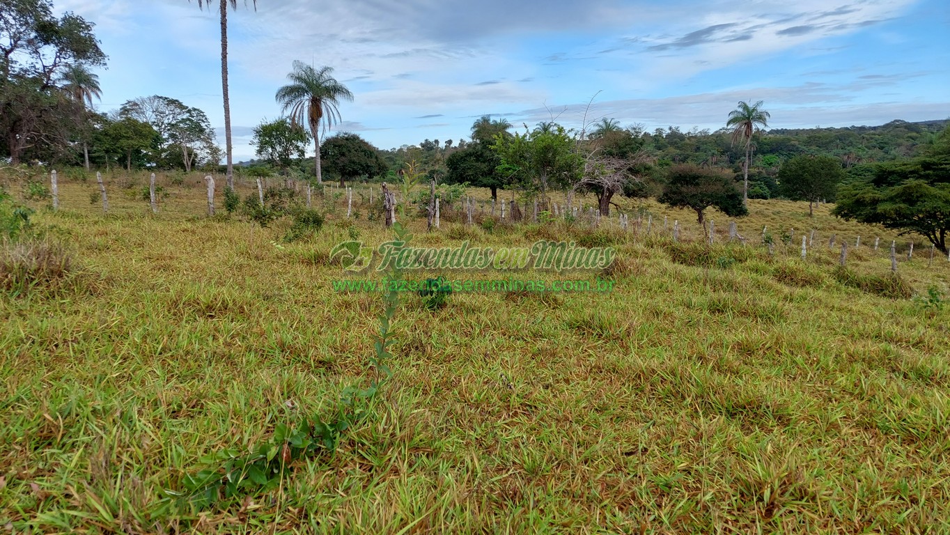 Cód. 495     R$ 1.800.000,00