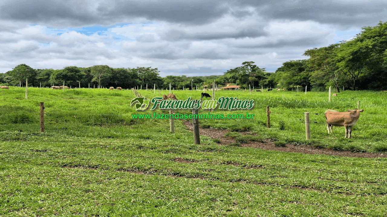 Cód.518       R$ 8.500.000,00