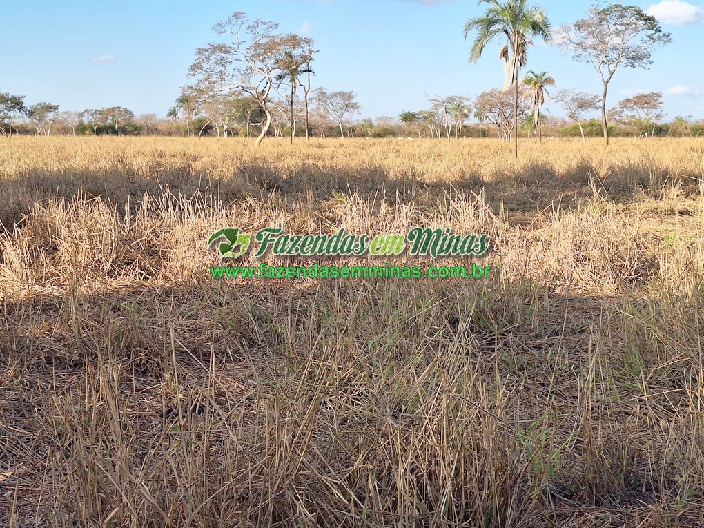 Cód.519        R$ 1.000.000,00
