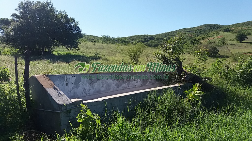 Fazenda 20 km do asfalto 