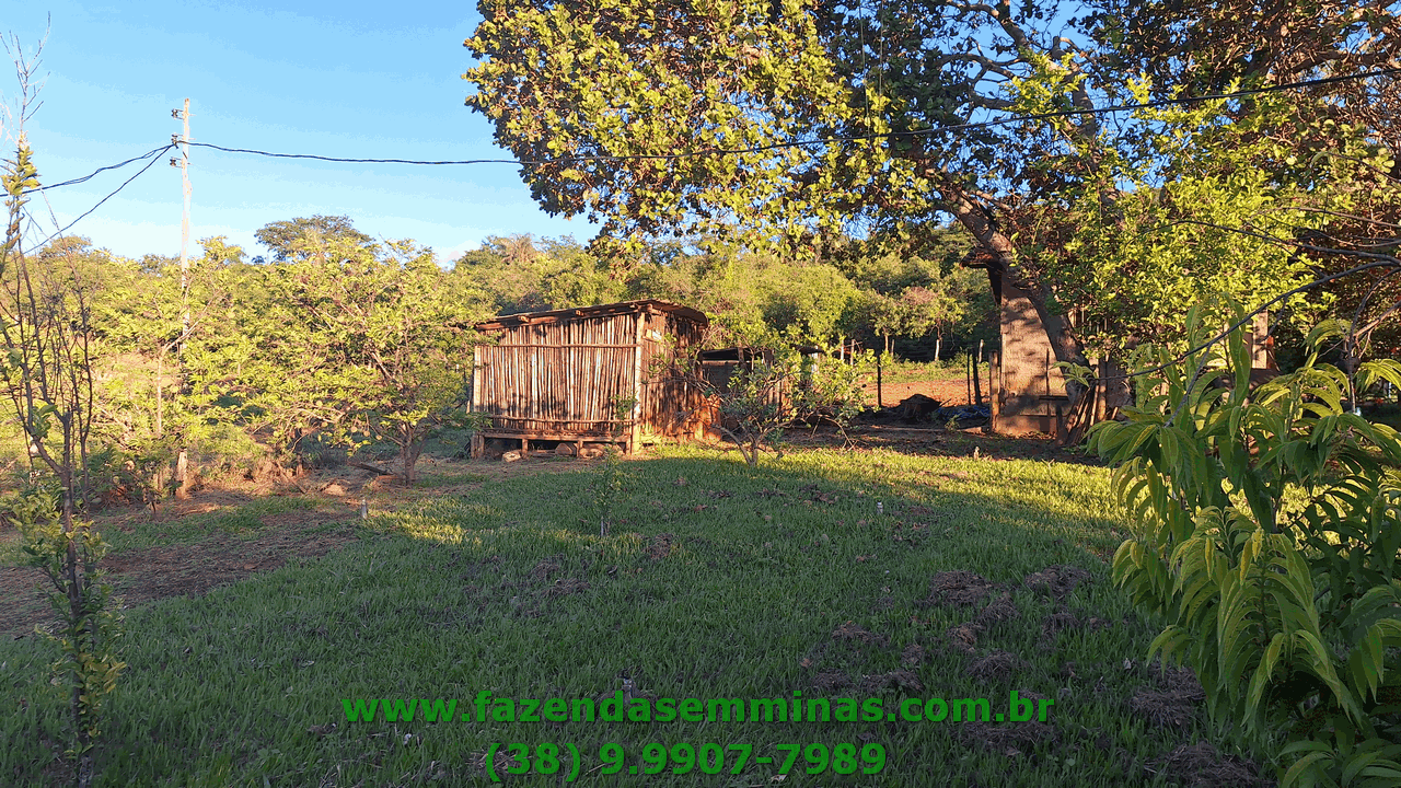 Sítio 4 hectares     R$ 600.000,00