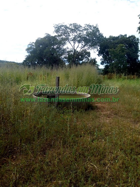 Cód.503     R$ 1.600.000,00