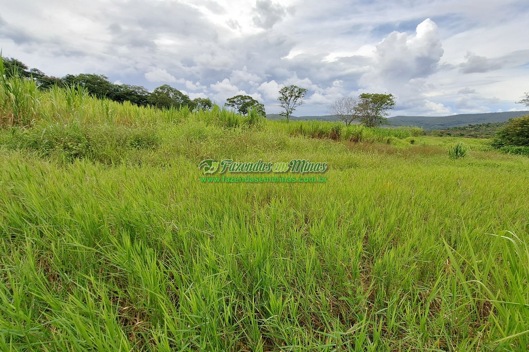 Cód. 560            R$ 1.100.000,00