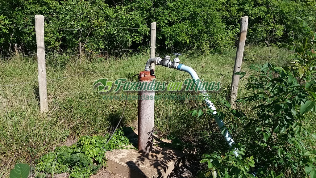 Fazenda 20 km do asfalto 