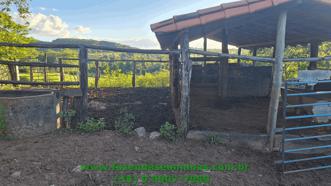 Sítio 4 hectares     R$ 600.000,00