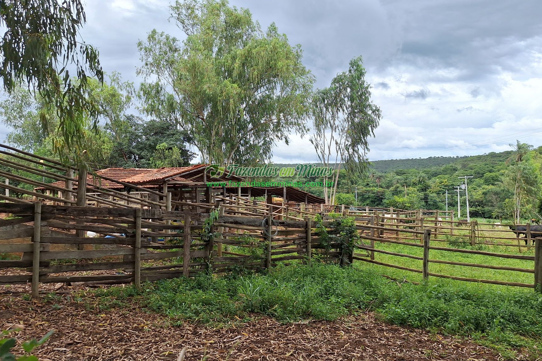 Cód.436               R$ 8.000.000,00