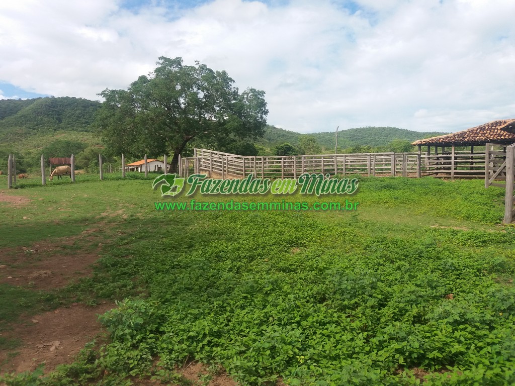 Cód.484       R$ 3.000.000,00