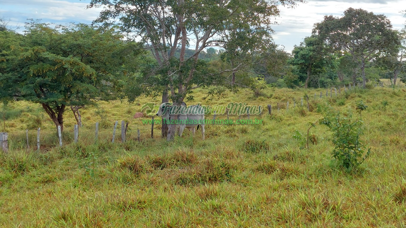 Cód. 495     R$ 1.800.000,00