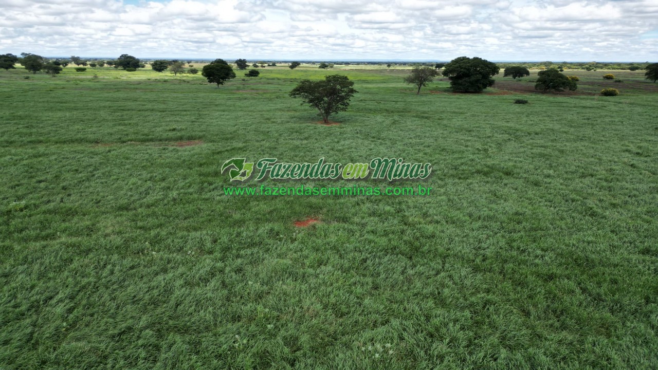 Cód.569      R$ 4.600.000,00