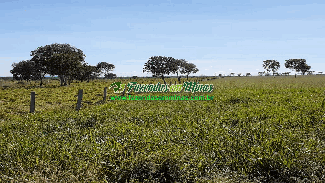 Cód.600         R$65.000.000,00
