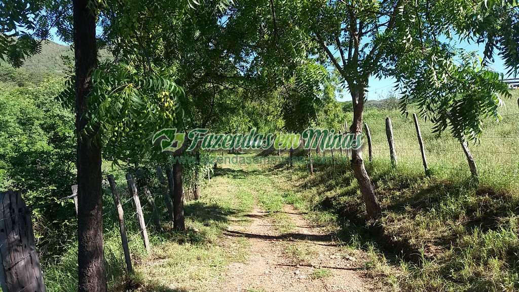 Fazenda 20 km do asfalto 