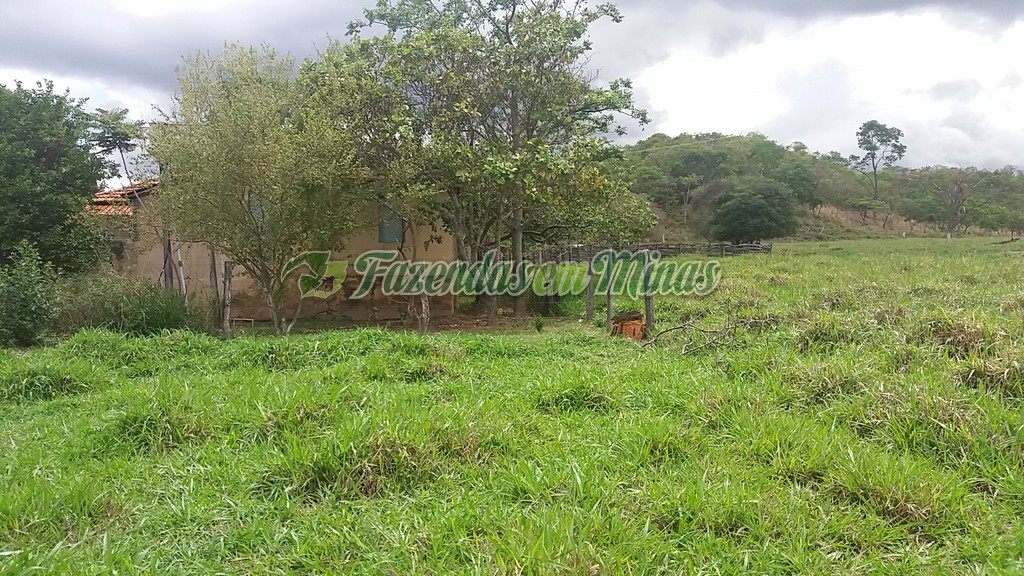 Fazenda município coração de Jesus para pecuária de leite e corte.