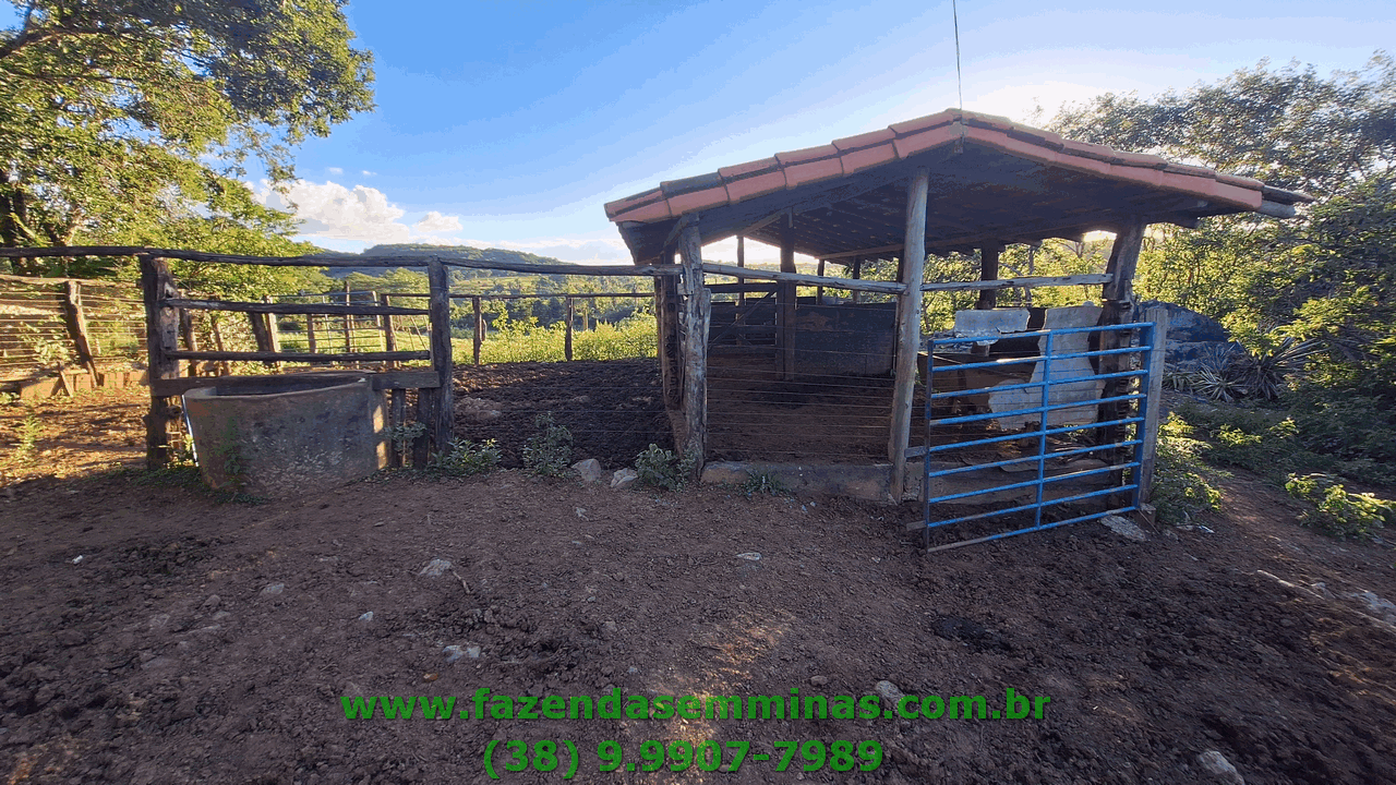 Sítio 4 hectares     R$ 600.000,00