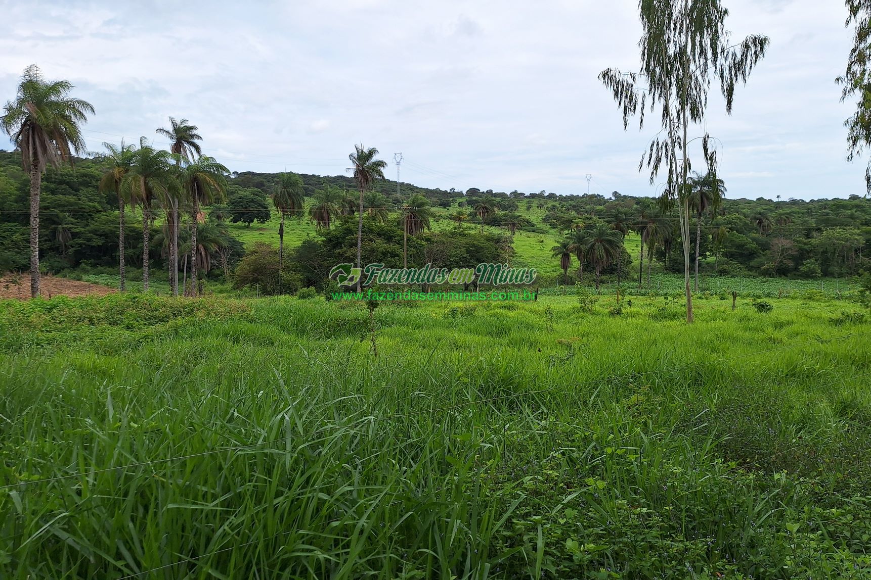 Cód.436               R$ 8.000.000,00