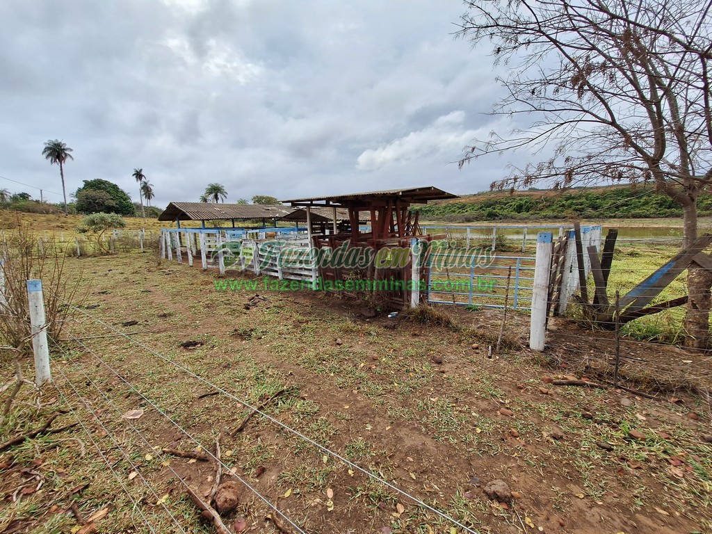 Cód.513   R$480.000,00