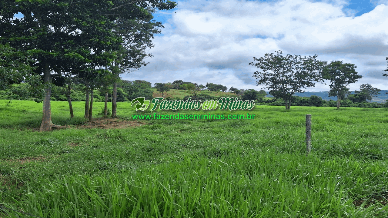 Cód.518       R$ 8.500.000,00