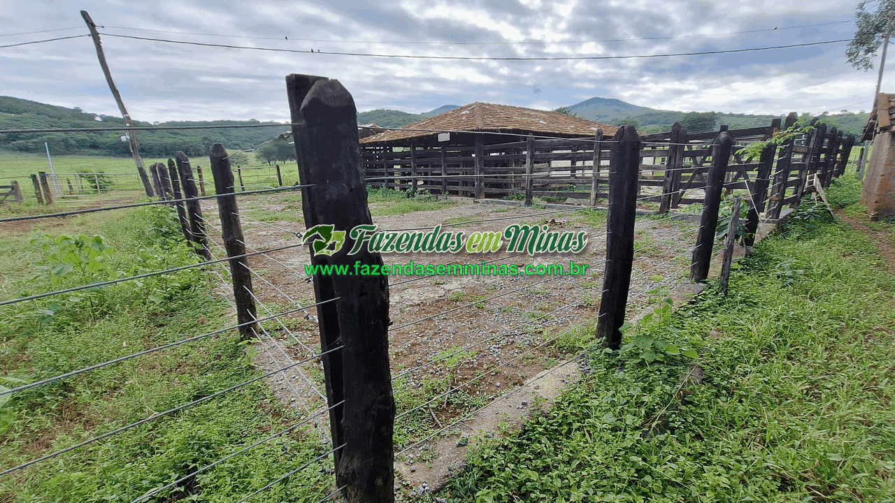 Cód.599       R$ 3.500.000,00