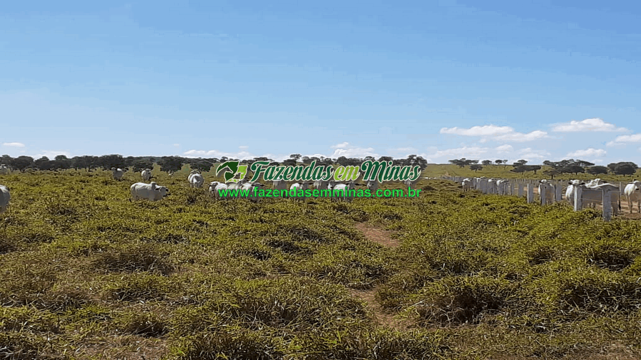 Cód.600         R$65.000.000,00
