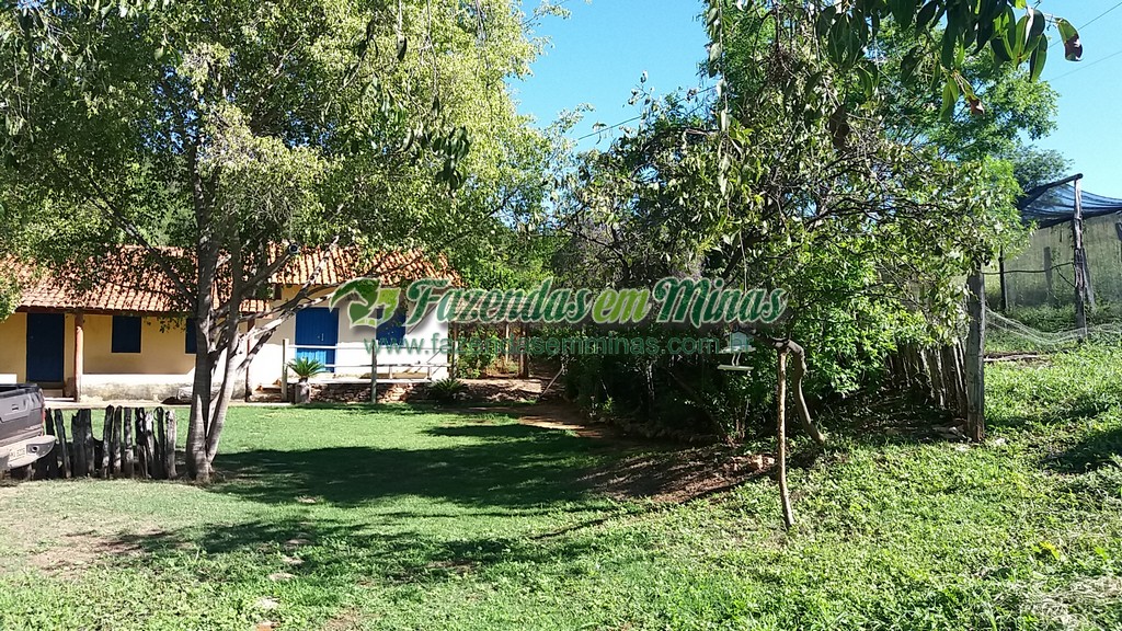 Fazenda 20 km do asfalto 