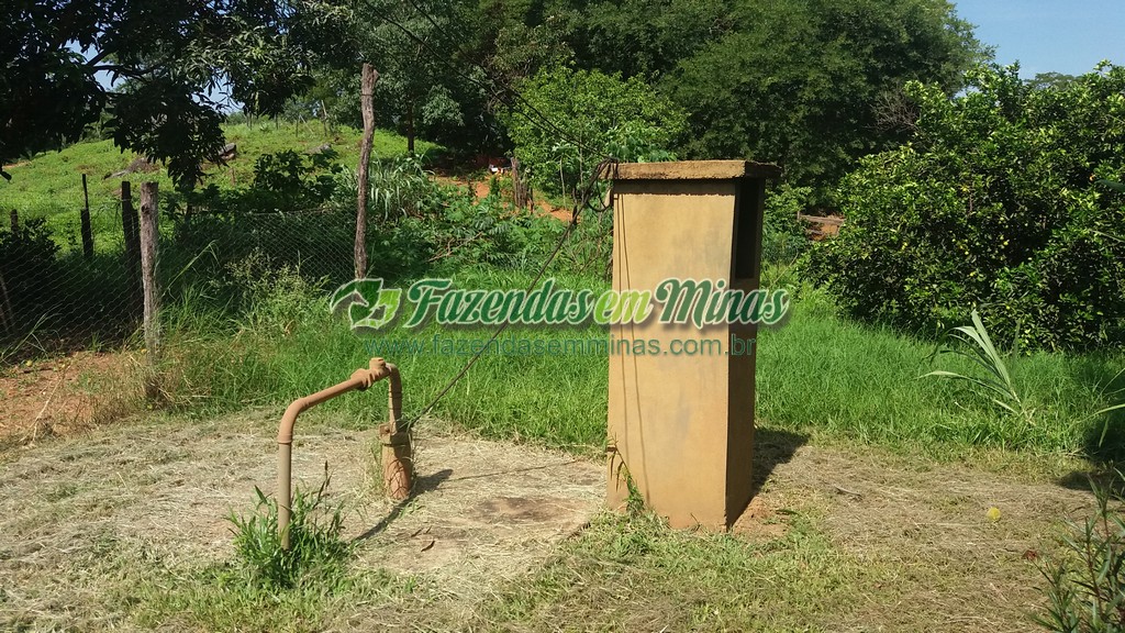 Fazenda  Cód.444  162 Ha  R$ 1.350.000