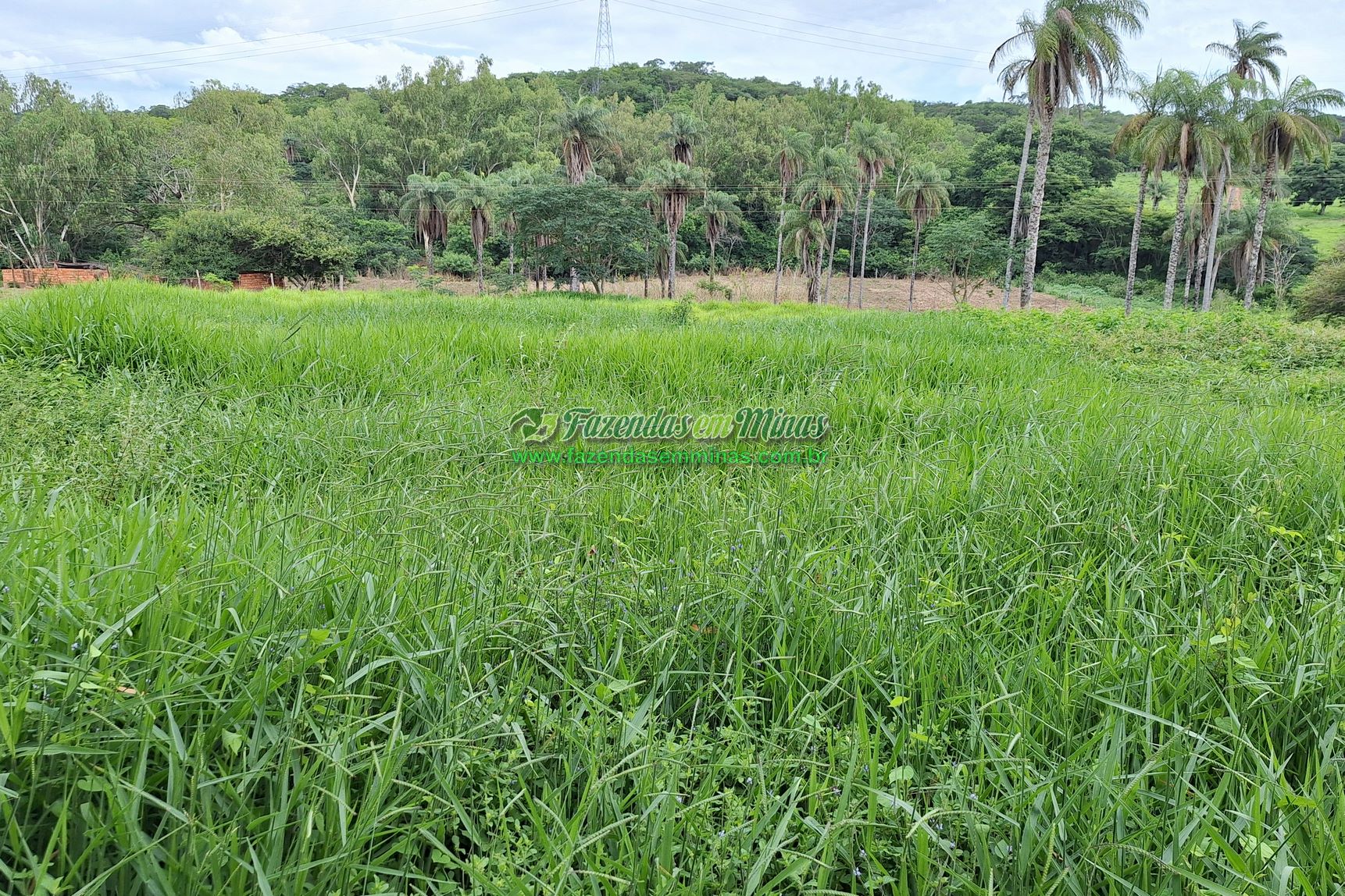 Cód.436               R$ 8.000.000,00