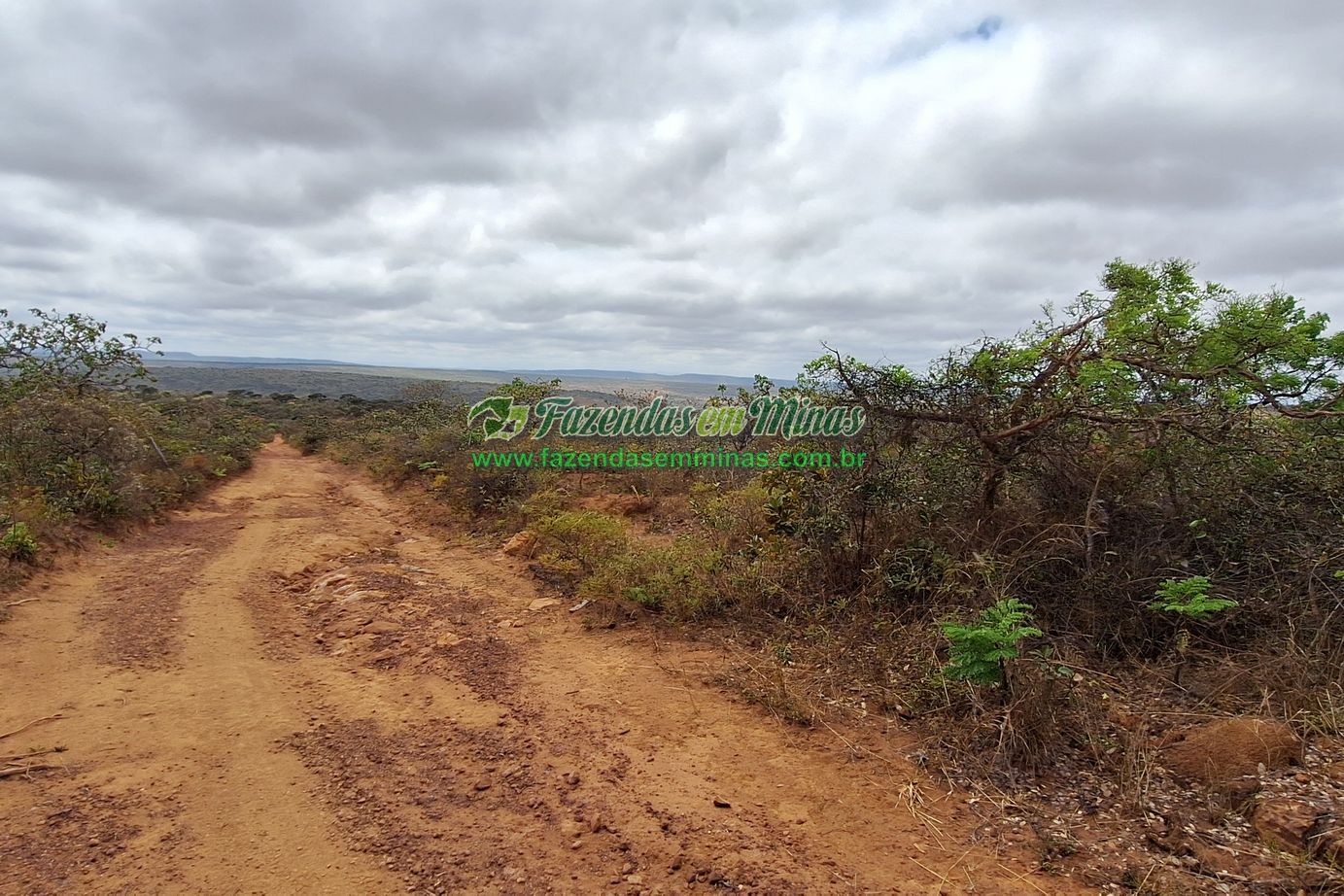 Cód.562                  R$ 3.500.000,00