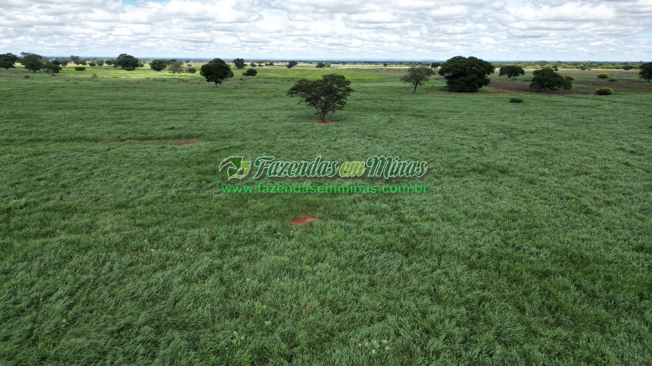 Cód.569      R$ 4.600.000,00