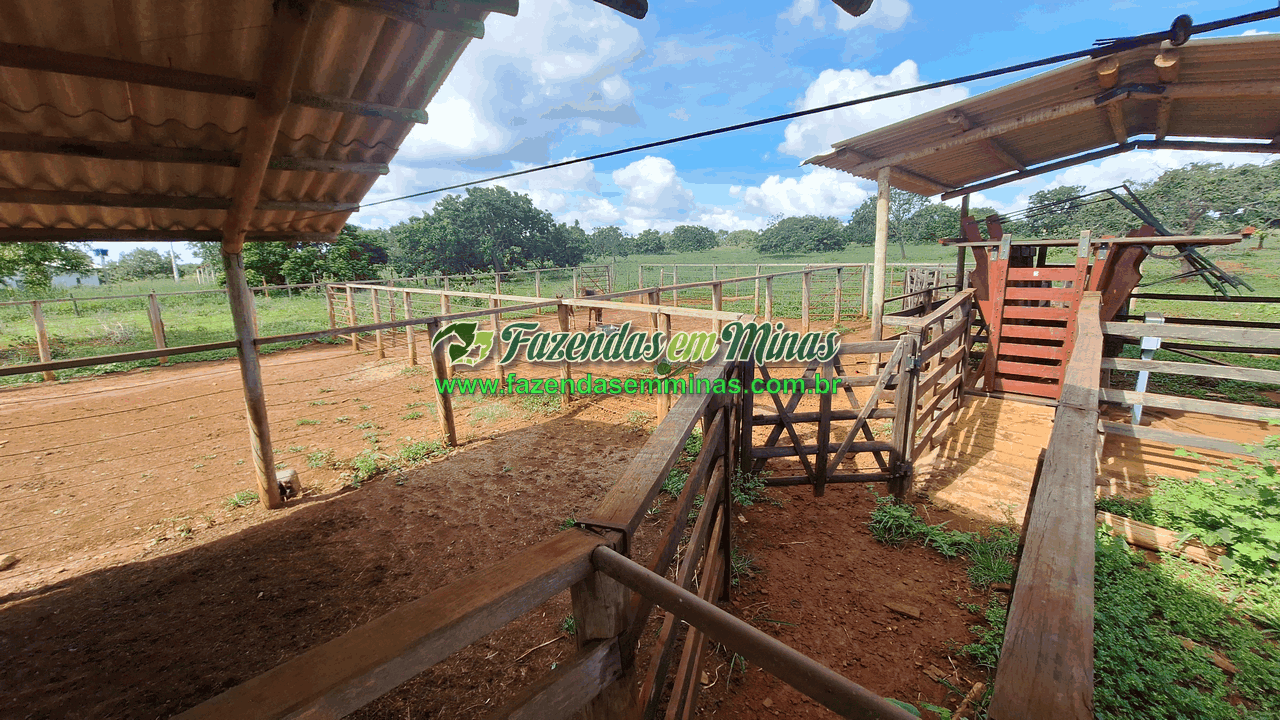 Cód.338         R$ 4.500.000,00