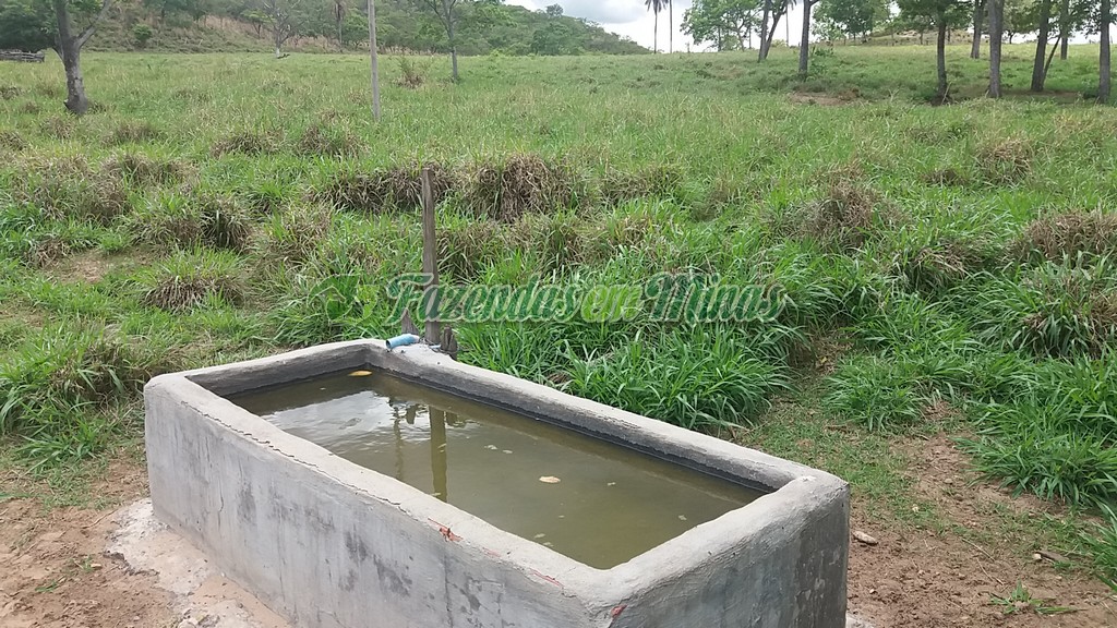 Fazenda município coração de Jesus para pecuária de leite e corte.