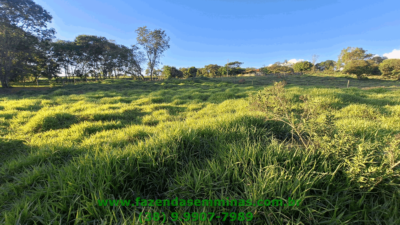 Sítio 4 hectares     R$ 600.000,00